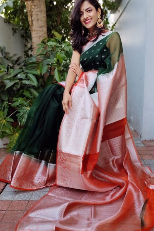 LIGHT WEIGHT PARTY WEAR PURE ORGANZA SILK SAREES